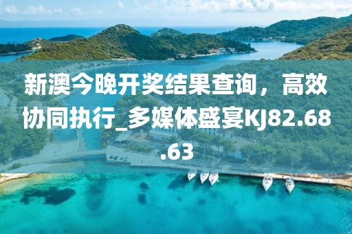 新澳今晚开奖结果查询，高效协同执行_多媒体盛宴KJ82.68.63