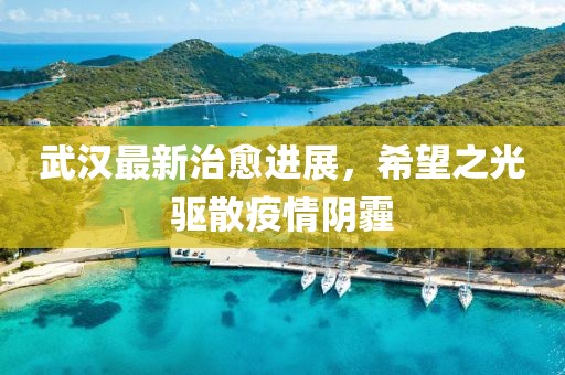 武汉最新治愈进展，希望之光驱散疫情阴霾