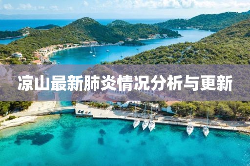凉山最新肺炎情况分析与更新