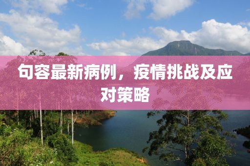 句容最新病例，疫情挑战及应对策略