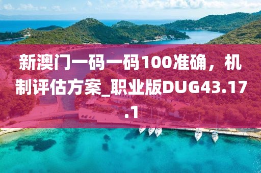 新澳门一码一码100准确，机制评估方案_职业版DUG43.17.1