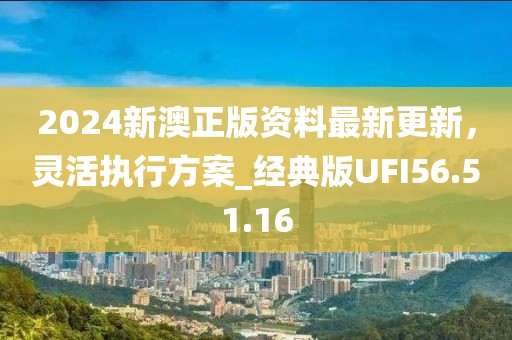 2024新澳正版资料最新更新，灵活执行方案_经典版UFI56.51.16