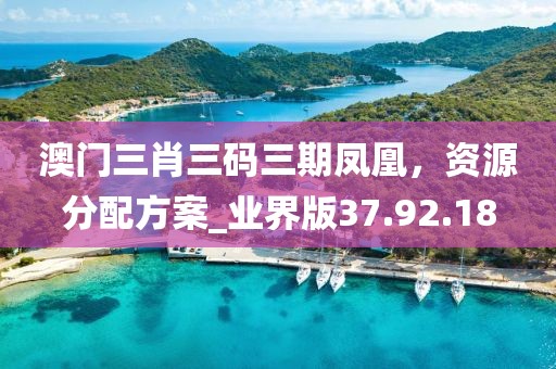澳门三肖三码三期凤凰，资源分配方案_业界版37.92.18