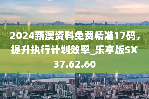 2024新澳资料免费精准17码，提升执行计划效率_乐享版SX37.62.60