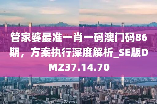 管家婆最准一肖一码澳门码86期，方案执行深度解析_SE版DMZ37.14.70