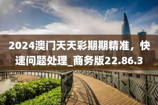 2024澳门天天彩期期精准，快速问题处理_商务版22.86.3