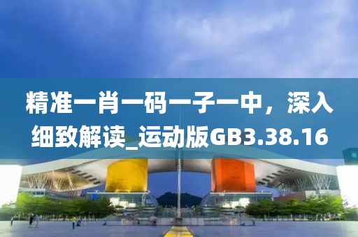 精准一肖一码一子一中，深入细致解读_运动版GB3.38.16