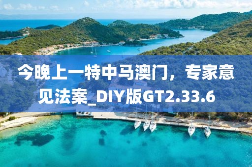 今晚上一特中马澳门，专家意见法案_DIY版GT2.33.6