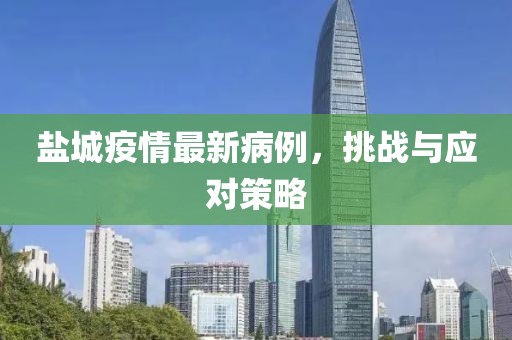 盐城疫情最新病例，挑战与应对策略