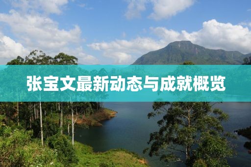 张宝文最新动态与成就概览