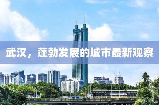 武汉，蓬勃发展的城市最新观察