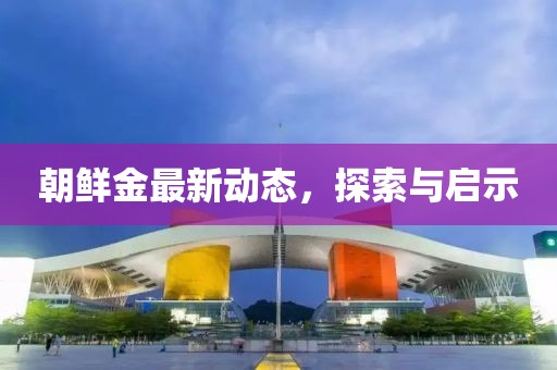 朝鲜金最新动态，探索与启示