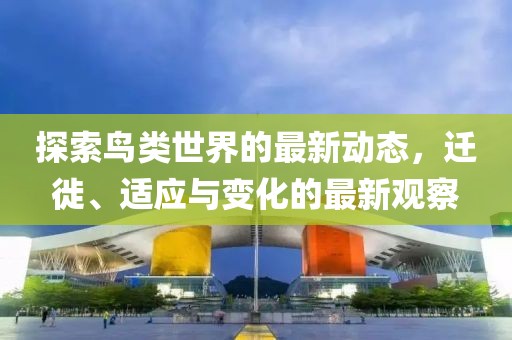 探索鸟类世界的最新动态，迁徙、适应与变化的最新观察