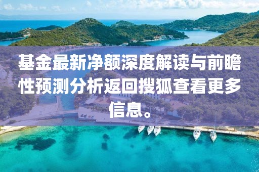 基金最新净额深度解读与前瞻性预测分析返回搜狐查看更多信息。