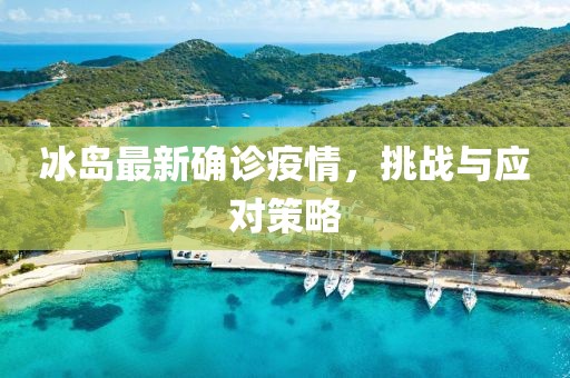 头枕天山 第29页