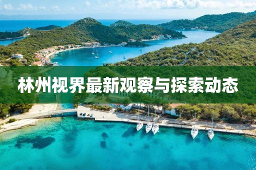林州视界最新观察与探索动态