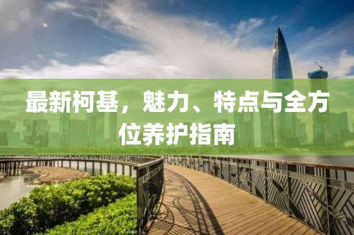 薯片软妹 第17页