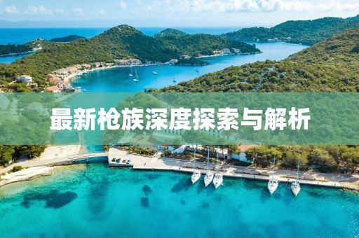 最新枪族深度探索与解析