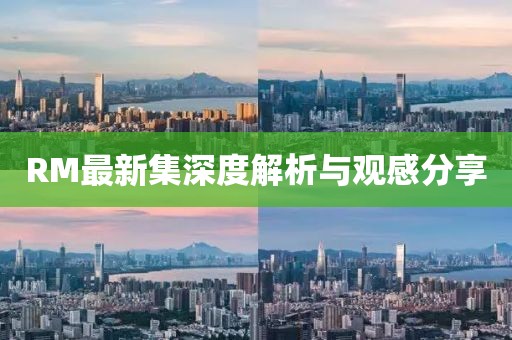RM最新集深度解析与观感分享