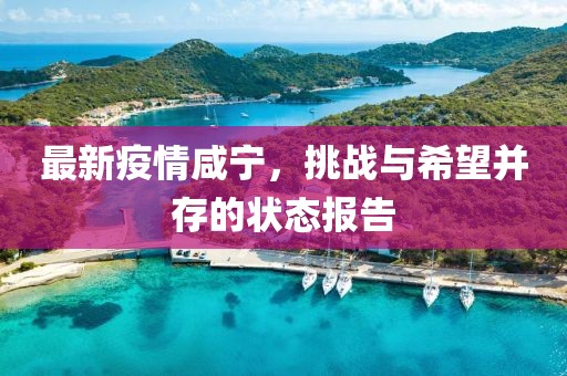 雪朔风凛 第19页