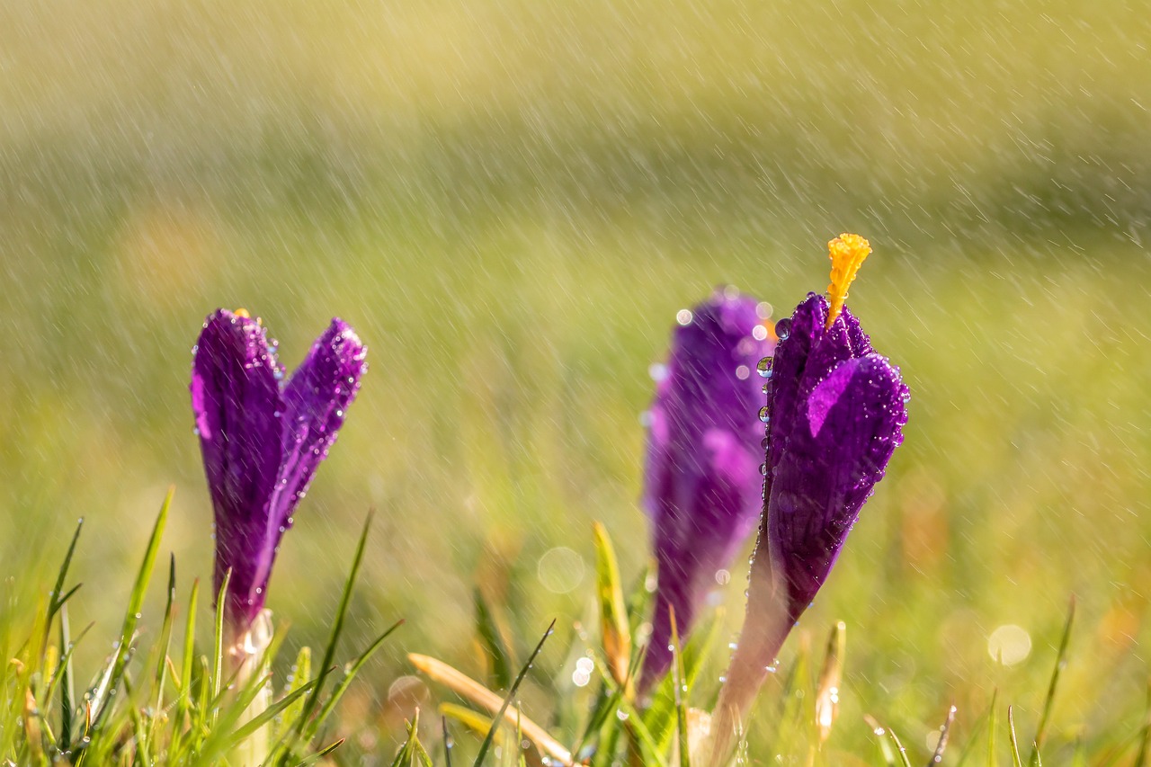 雨欣最新风采，青春光芒的绽放