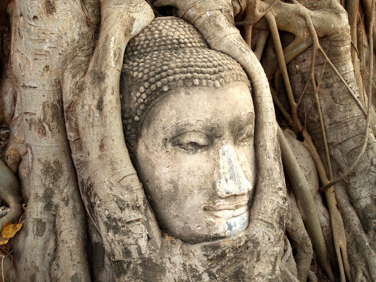 最新对子，探索古代文化的新境界